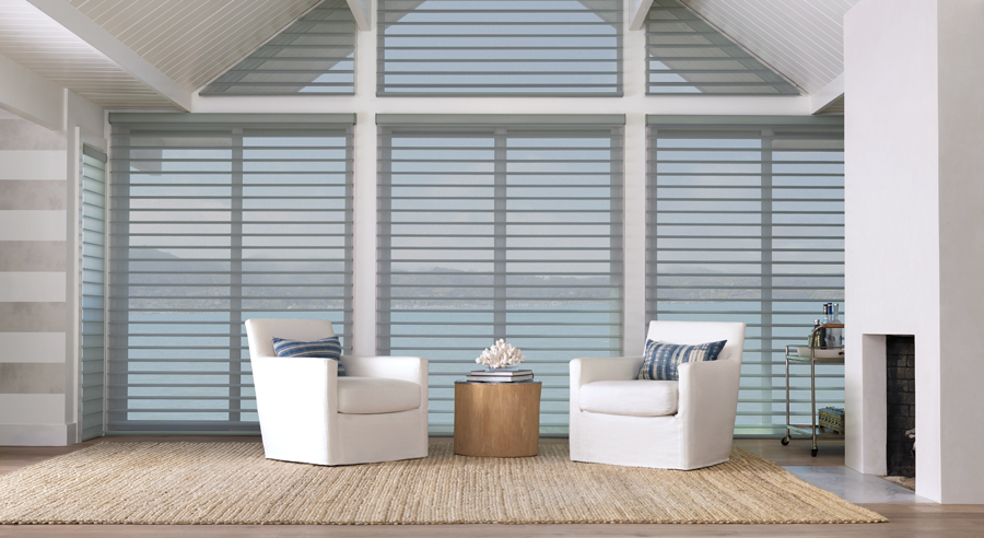 coastal decor silhouette shades Hunter Douglas Maple Grove 55369