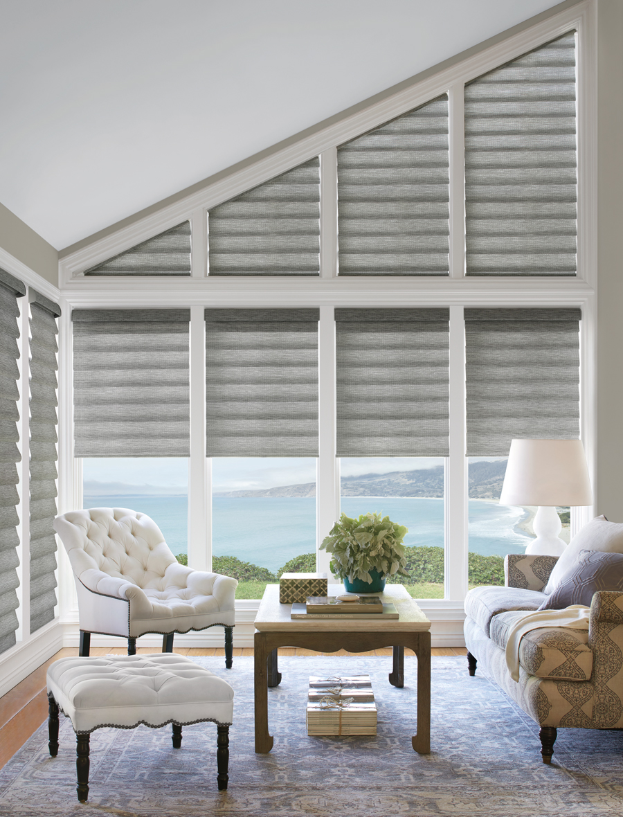 living room shades of grey roman shades Hunter Douglas St Paul 55331