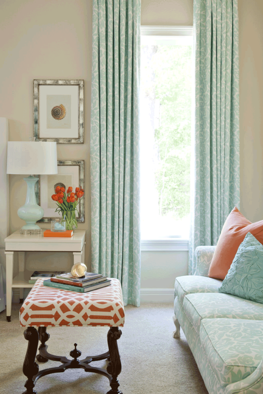 living coral accents with turquoise Hunter Douglas St Paul 55113