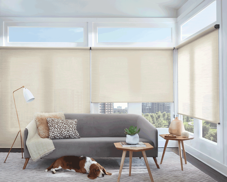 living room motorized roller shades smart accessories Hunter Douglas St Paul 55331