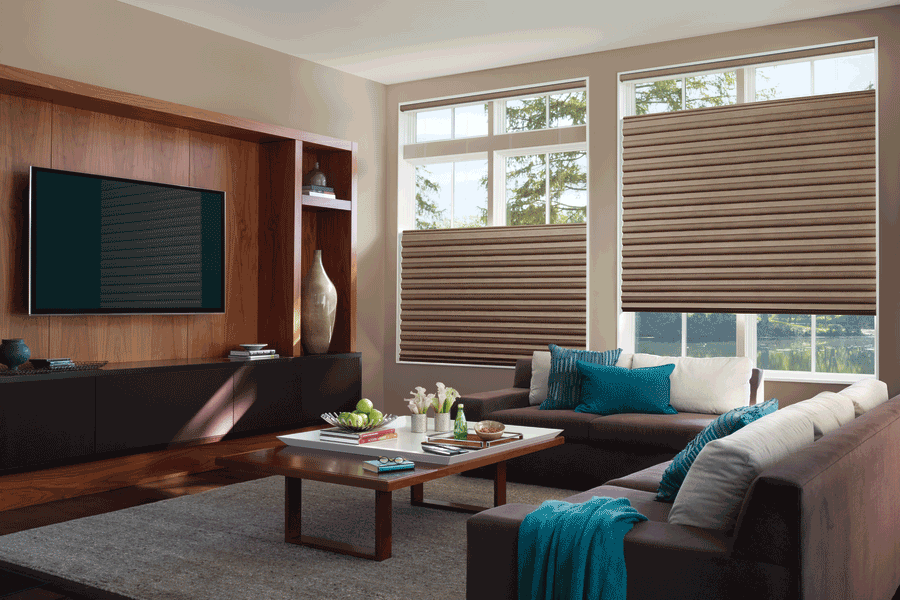 media room top down bottom up duette honeycomb smart shades for energy saving Hunter Douglas St Paul 55331