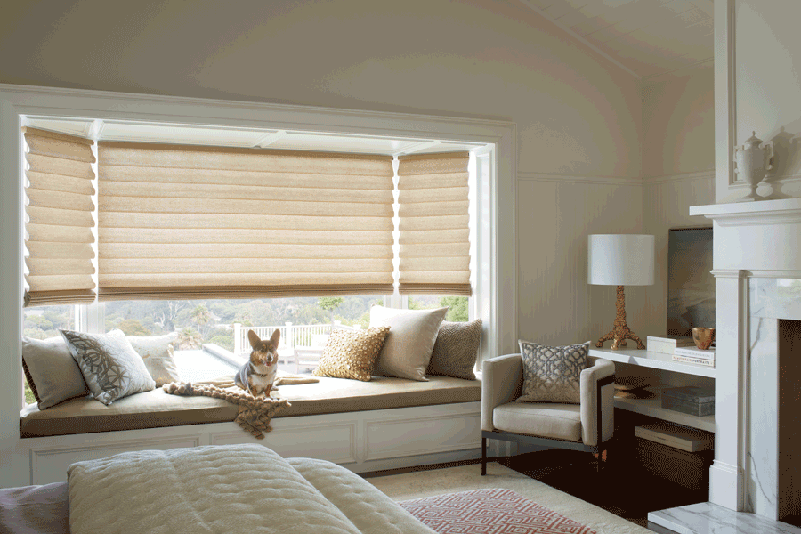 vignette modern roman shades for dog owners Hunter Douglas St Paul 55113