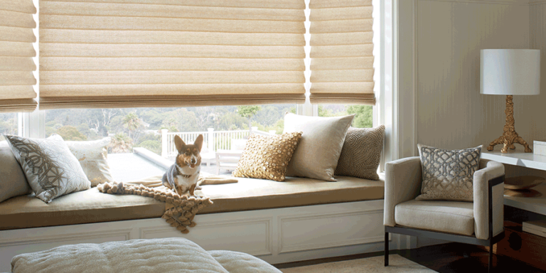 vignette modern roman shades for dog owners Hunter Douglas St Paul 55113