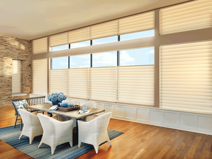 dining room top down bottom up vignette roman shades covering floor to ceiling windows Hunter Douglas St Paul 55113