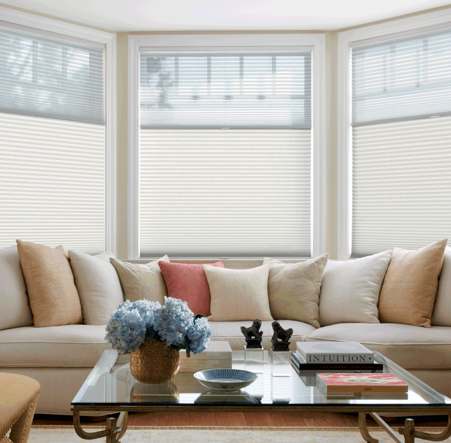 energy efficient living room large window top down shades honeycomb duette shades Hunter Douglas St Paul 55113