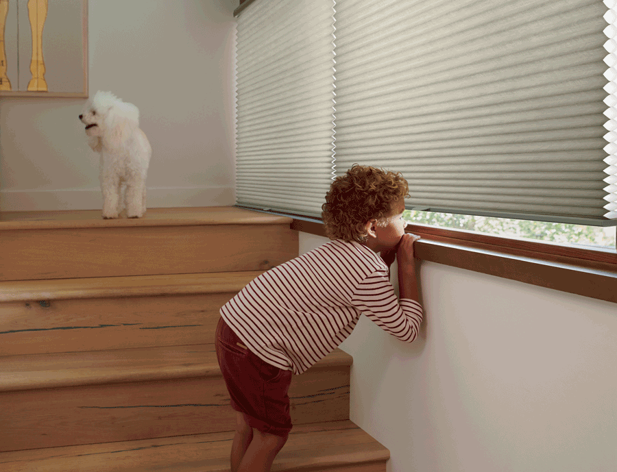 cordless child safe blinds Hunter Douglas St Paul 55113