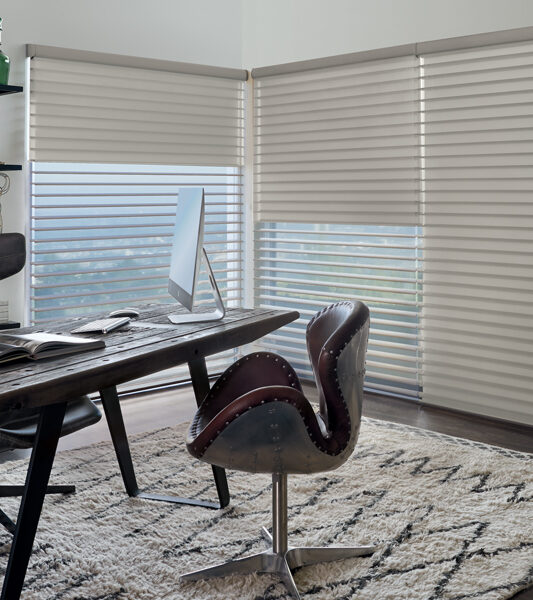 city office with large windows and hunter douglas duolite dual shades on silhouette window shades in St Paul 55113