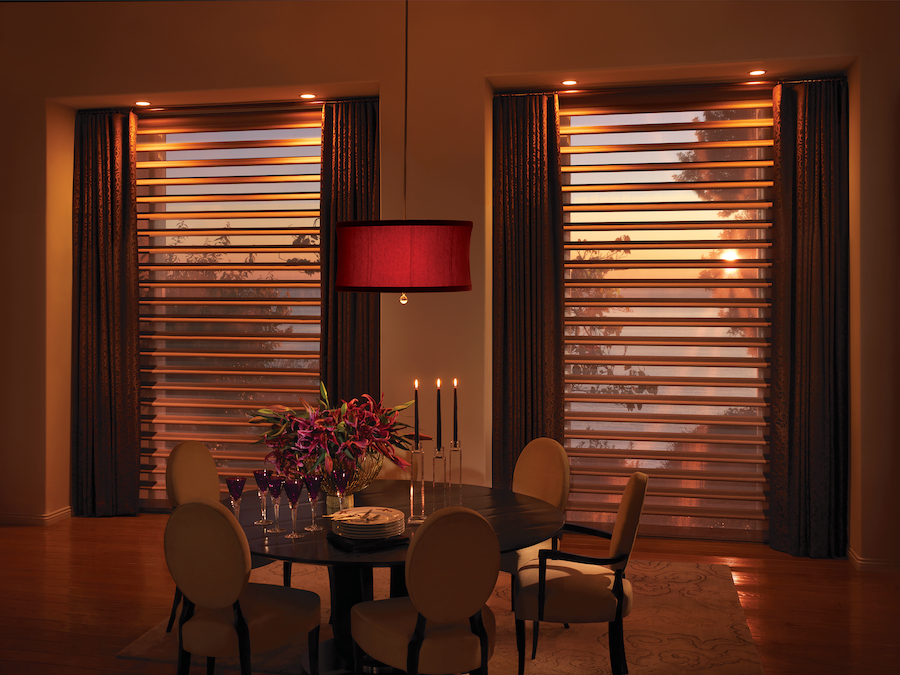 Pirouette shades allow light filtering during the changing season in Minneapolis.