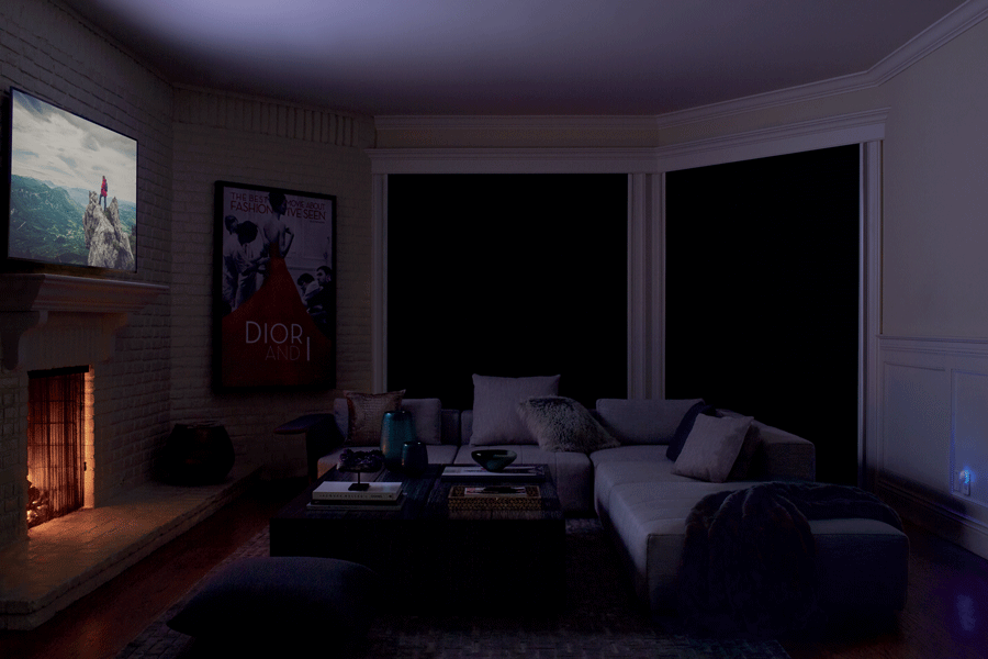 Blackout shades in living room. 