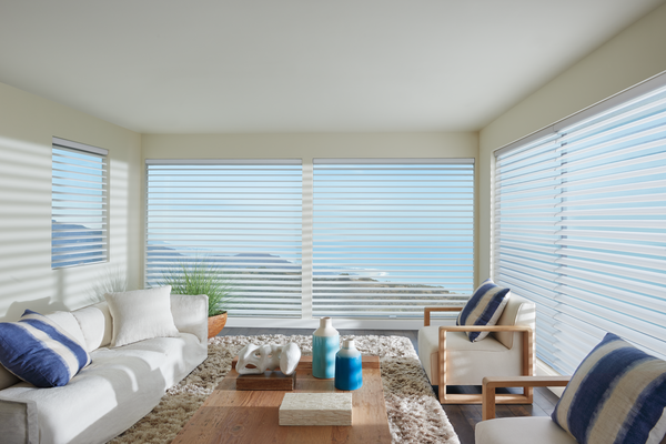 living room with white silhouette shades and clearview sheer fabric in Maple Grove MN