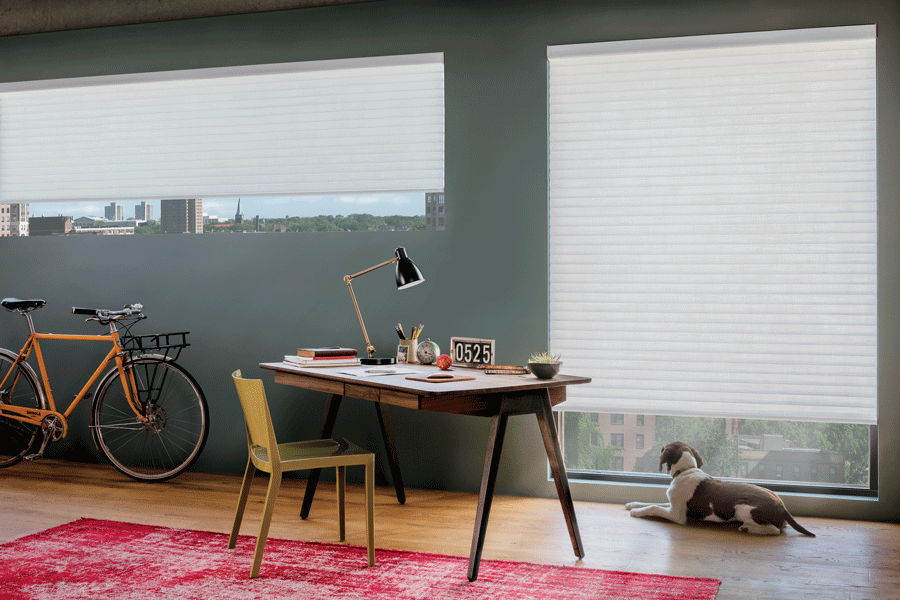 Sonnette roller cellular shades complete any work space.