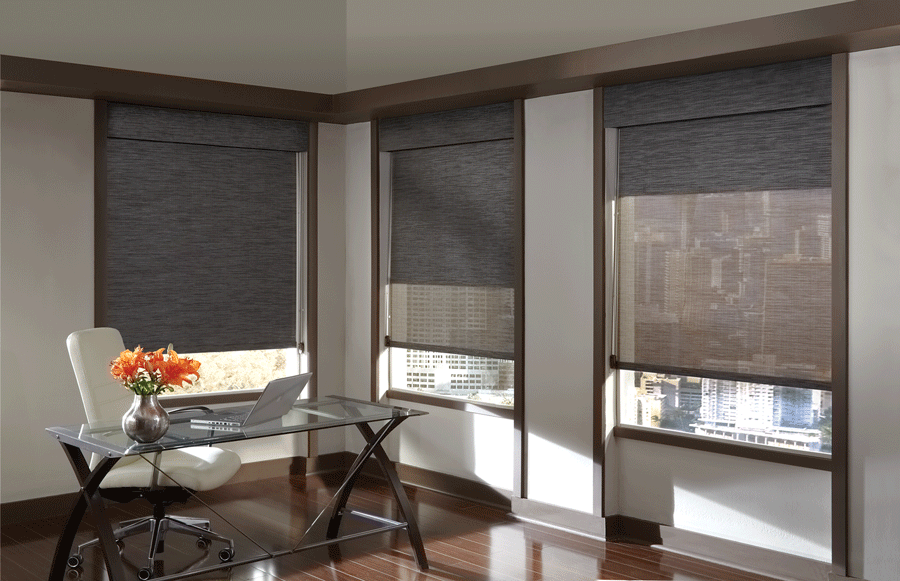 Dual shades are perfect for controlling any lighting situation in your Minneapolis home.