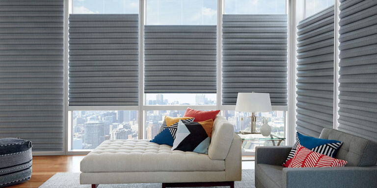 top down bottom up roman shades in living room in Minneapolis, MN