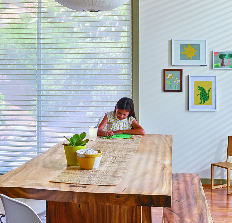 sliding glass door shades in Minneapolis, MN