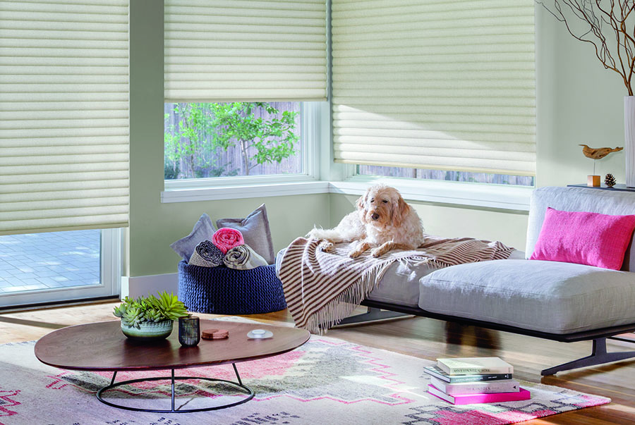 neutral roller shades puppy in living room St Paul, MN