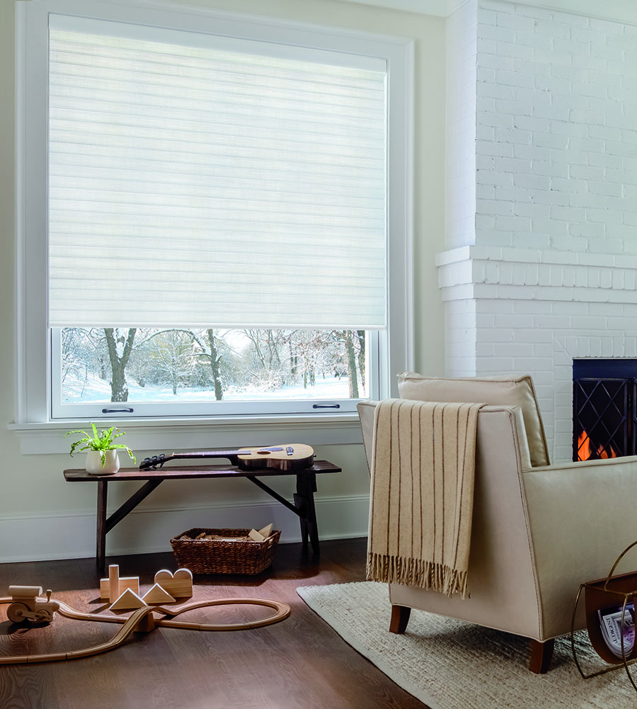 Cellular roller shades in St. Paul Living room