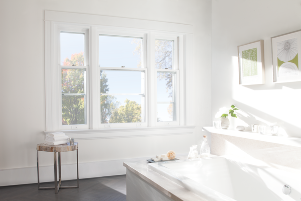 bare window in Minneapolis bathroom 