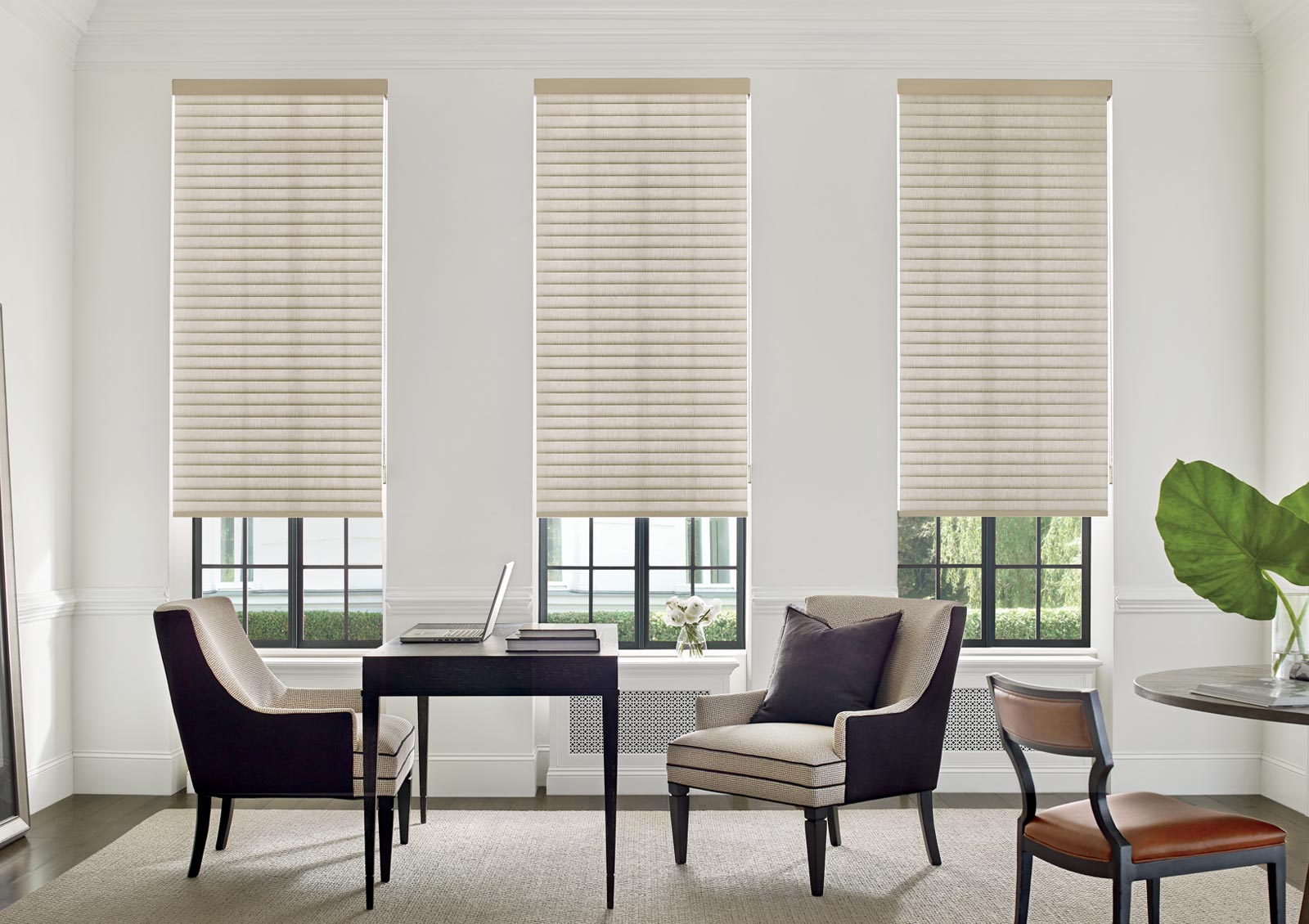 cellular roller shades with draperies in Maple Grove MN