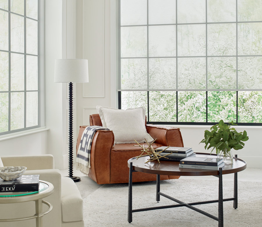 designer roller shades in contemporary Minneapolis MN living room