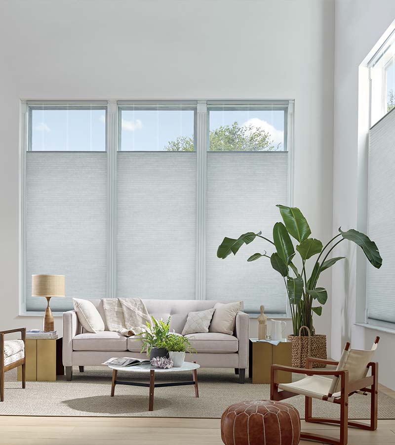 Top Down Bottom Up Blinds & Window Shades at