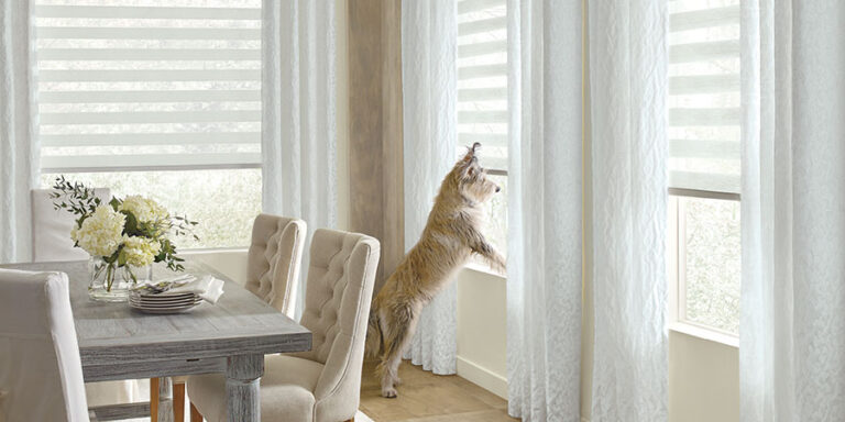 pet friendly window coverings for Minneapolis MN homes