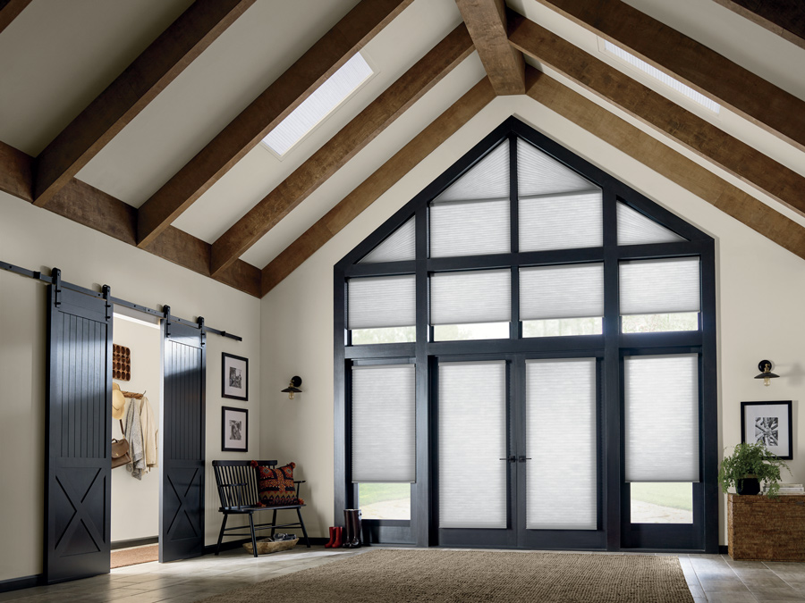 Large windows and doors entryway inspiration