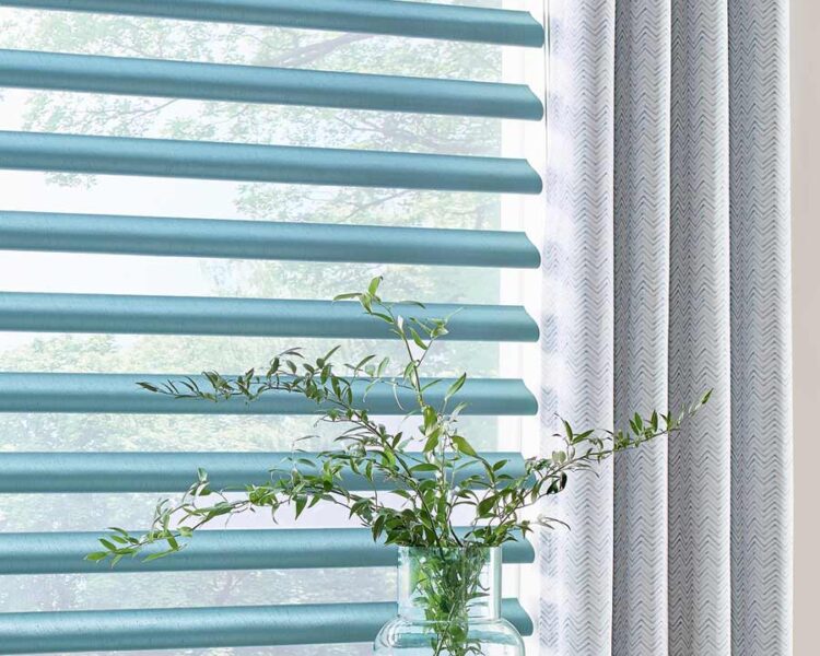 detail of blue piroutte window shades and designer drapes next to house plants