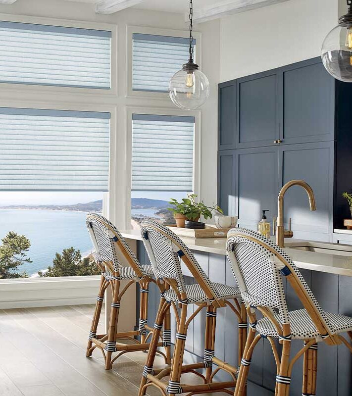 blue cabinetry and modern bar area with large picture windows and shades