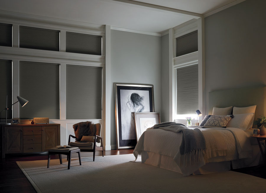 relief from the sun with Room darkened honeycomb shades in living room of Minneapolis home