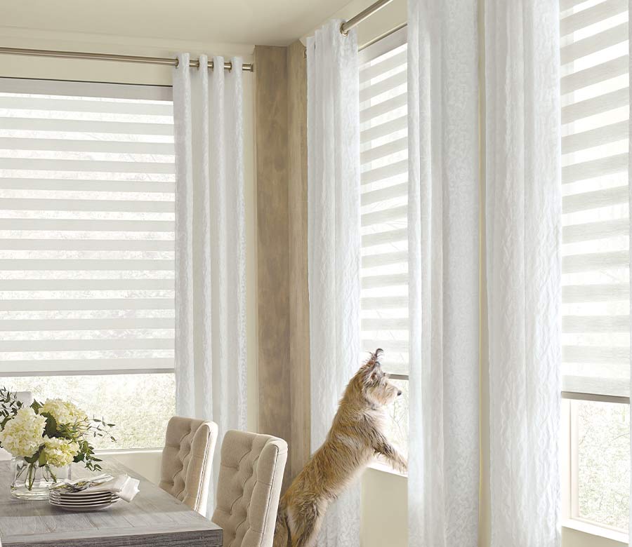 White dog perched on window sill with half-up window shades in simple dining room