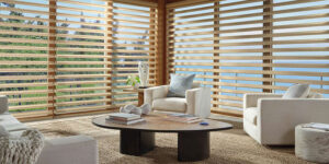 Pirouette® shades on living room windows for soft natural light and views