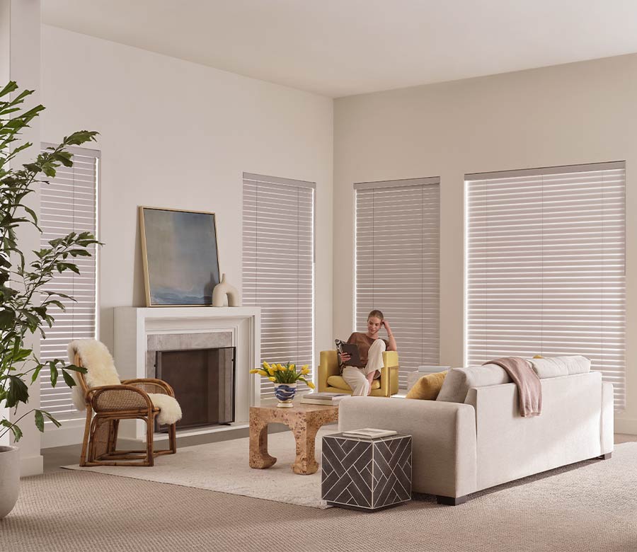 fabric blinds in living room in Maple Grove MN