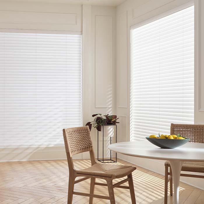 aria-fabric-blinds-motorization fabric blinds on large windows in Lake Minnetonka MN