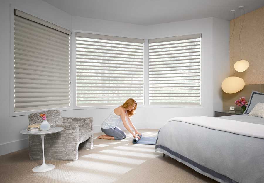Pirouette® shades for media room bonus space in Minneapolis St Paul MN home
