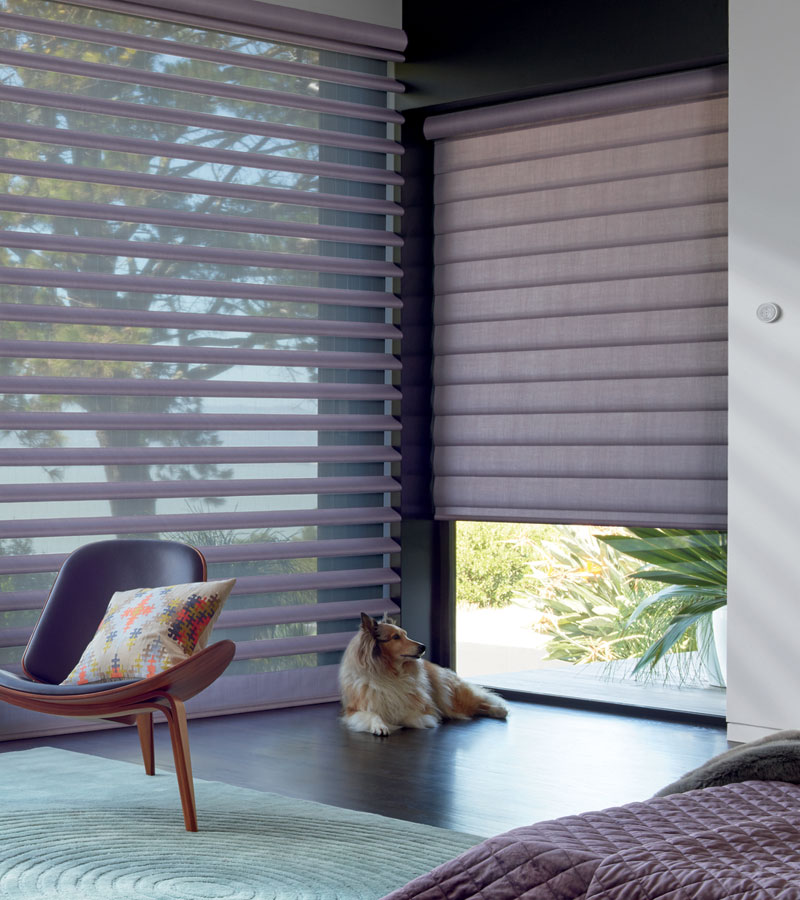 blue floor to ceiling pirouette window blinds with dog