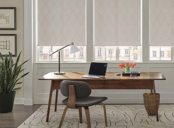 roller-shades-hunter-douglas-aero-drapery-and-blind