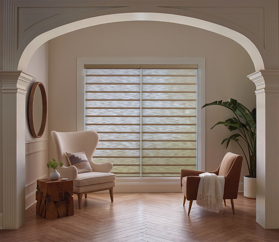 vignette-sheer-roman-shades-hunter-douglas-aero-drapery-and-blind