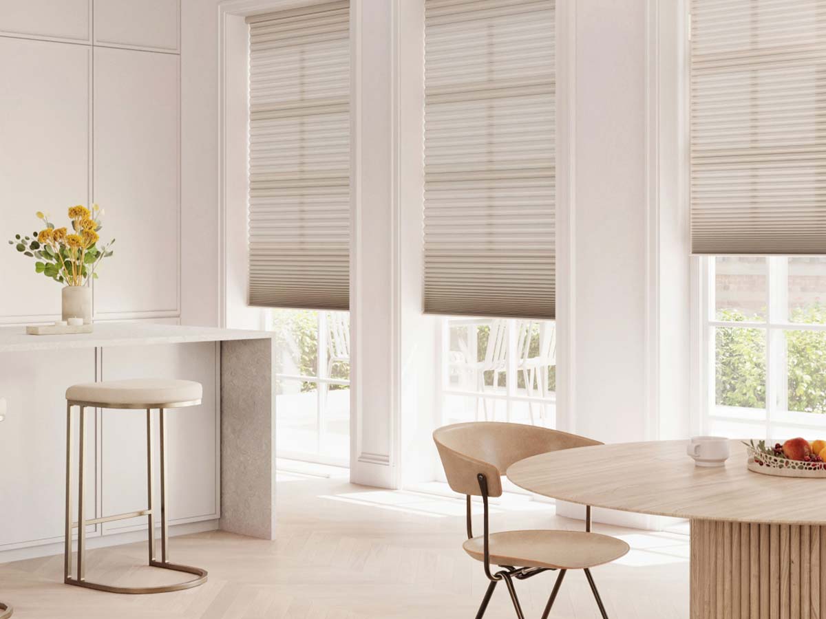 banded roller shades in Minneapolis living room