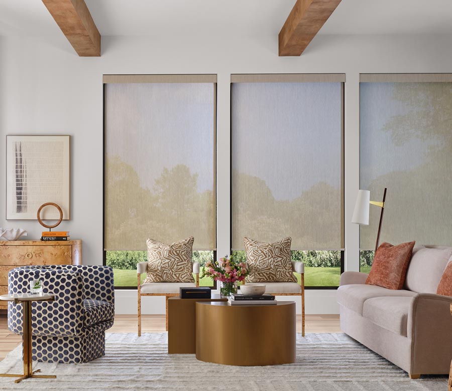 living room with light filtering designer screen shades